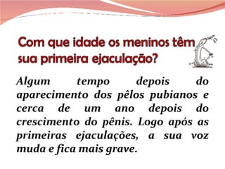 Algum tempo depois do aparecimento dos pêlos pubianos e cerca de um ano depois do crescimento do pênis. Logo após as primeiras ejaculações, a sua voz muda e fica mais grave.  