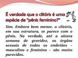 Sim. Embora bem menor, o clitóris, em sua estrutura, se parece com o pênis. Na verdade, até a oitava semana de gravidez, os órgãos sexuais de todos os embriões – masculino e feminino – são muito parecidos. 