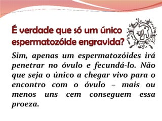 Sim, apenas um espermatozóides irá penetrar no óvulo e fecundá-lo. Não que seja o único a chegar vivo para o encontro com o óvulo – mais ou menos uns cem conseguem essa proeza.  