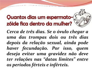 Cerca de três dias. Se o óvulo chegar a uma das trompas dois ou três dias depois da relação sexual, ainda pode haver fecundação. Por isso, quem deseja evitar uma gravidez não deve ter relações nas “datas limites” entre os períodos férteis e inférteis. 