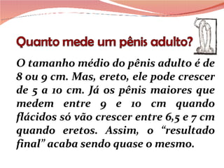 O tamanho médio do pênis adulto é de 8 ou 9 cm. Mas, ereto, ele pode crescer de 5 a 10 cm. Já os pênis maiores que medem entre 9 e 10 cm quando flácidos só vão crescer entre 6,5 e 7 cm quando eretos. Assim, o “resultado final” acaba sendo quase o mesmo. 