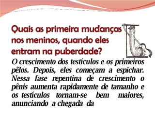 O crescimento dos testículos e os primeiros pêlos. Depois, eles começam a espichar. Nessa fase repentina de crescimento o pênis aumenta rapidamente de tamanho e os testículos  tornam-se  bem  maiores, anunciando  a chegada  da 