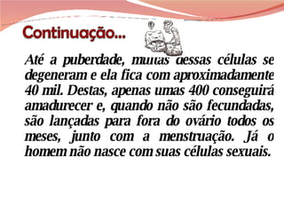 Até a puberdade, muitas dessas células se degeneram e ela fica com aproximadamente 40 mil. Destas, apenas umas 400 conseguirá amadurecer e, quando não são fecundadas, são lançadas para fora do ovário todos os meses, junto com a menstruação. Já o homem não nasce com suas células sexuais. 