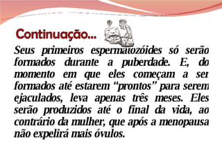 Seus primeiros espermatozóides só serão formados durante a puberdade. E, do momento em que eles começam a ser formados até estarem “prontos” para serem ejaculados, leva apenas três meses. Eles serão produzidos até o final da vida, ao contrário da mulher, que após a menopausa não expelirá mais óvulos. 