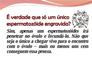 Sim, apenas um espermatozóides irá penetrar no óvulo e fecundá-lo. Não que seja o único a chegar vivo para o encontro com o óvulo – mais ou menos uns cem conseguem essa proeza.  