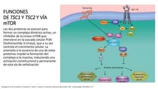 FUNCIONES
DE TSC1 Y TSC2 Y VÍA
mTOR
Las dos proteínas se asocian para
formar un complejo dimérico activo, un
inhibidor de la cinasa mTOR que
interviene en la cascada celular PI3K
(fosfoinositida 3-cinasa), que a su vez
controla el crecimiento celular. La
anomalía o la ausencia de una de estas
proteínas impide la formación del
complejo o lo inactiva, induciendo una
activación constitucional y permanente
de esta vía de señalización
Georgescou G, de la Vaissière S, Castelnau P, Halimi J, Toutain A. Esclerosis tuberosa de Bourneville. EMC - Dermatología. 2015;49(3):1-12.
 