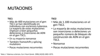 MUTACIONES
TSC1
• Más de 400 mutaciones en el gen
TSC1 se han identificado en
individuos con esclerosis tuberosa.
La mayoría de estas mutaciones
implican o bien pequeñas
deleciones o inserciones de ADN
en el gen TSC1.
• En su mayoría nonsense
• También frameshift y splicing
mutations
• Pocas mutaciones recurrentes
TSC2
• Más de 1.100 mutaciones en el
gen TSC2.
• La mayoría de estas mutaciones
son inserciones o deleciones un
pequeño número de bloques de
construcción de ADN en el gen
TSC2.
• Nonsense
• Pocas mutaciones recurrentes
Yates J. Tuberous sclerosis. Eur J Hum Genet. 2006;14(10):1065-1073.
 