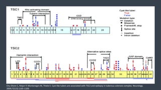 Chu-Shore C, Major P, Montenegro M, Thiele E. Cyst-like tubers are associated with TSC2 and epilepsy in tuberous sclerosis complex. Neurology.
2009;72(13):1165-1169.
 