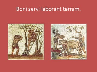 Boni servi laborant terram.
 