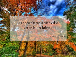 « La seule façon d’aller vite
est de bien faire »
-- Robert C. Martin

Image de Paul Bica / Flickr

 