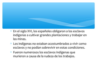 ∗ En el siglo XVI, los españoles obligaron a los esclavos
indígenas a cultivar grandes plantaciones y trabajar en
las minas.
∗ Los indígenas no estaban acostumbrados a vivir como
esclavos y no podían sobrevivir en estas condiciones.
∗ Fueron numerosos los esclavos indígenas que
murieron a causa de la rudeza de los trabajos.
 