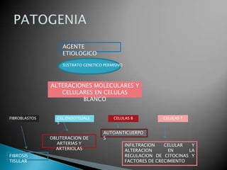 AGENTE
                   ETIOLOGICO
                   SUSTRATO GENETICO PERMISIVO




               ALTERACIONES MOLECULARES Y
                  CELULARES EN CELULAS
                        BLANCO


FIBROBLASTOS     CEL.ENDOTELIALE          CELULAS B            CELULAS T
                 S

                                     AUTOANTICUERPO
               OBLITERACION DE       S
                 ARTERIAS Y                      INFILTRACION   CELULAR   Y
                 ARTERIOLAS                      ALTERACION       EN     LA
FIBROSIS                                         REGULACION DE CITOCINAS Y
TISULAR                                          FACTORES DE CRECIMIENTO
 