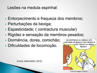 Lesões na medula espinhal:
 Entorpecimento e fraqueza dos membros;
 Perturbações da bexiga;
 Espasticidade; ( contractura muscular)
 Rigidez e sensação da membros pesados;
 Dormência, dores, comichão;
 Dificuldades de locomoção.
(Fonte: MACHADO, 2012)
Fonte da imagem: Internet
 