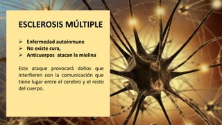 ESCLEROSIS MÚLTIPLE
 Enfermedad autoinmune
 No existe cura,
 Anticuerpos atacan la mielina
Este ataque provocará daños que
interfieren con la comunicación que
tiene lugar entre el cerebro y el resto
del cuerpo.
 