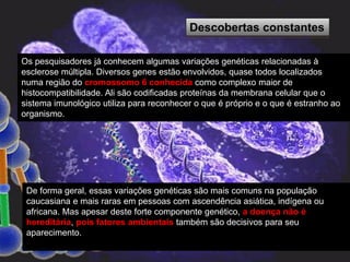 Os pesquisadores já conhecem algumas variações genéticas relacionadas à
esclerose múltipla. Diversos genes estão envolvidos, quase todos localizados
numa região do cromossomo 6 conhecida como complexo maior de
histocompatibilidade. Ali são codificadas proteínas da membrana celular que o
sistema imunológico utiliza para reconhecer o que é próprio e o que é estranho ao
organismo.
De forma geral, essas variações genéticas são mais comuns na população
caucasiana e mais raras em pessoas com ascendência asiática, indígena ou
africana. Mas apesar deste forte componente genético, a doença não é
hereditária, pois fatores ambientais também são decisivos para seu
aparecimento.
Descobertas constantes
 