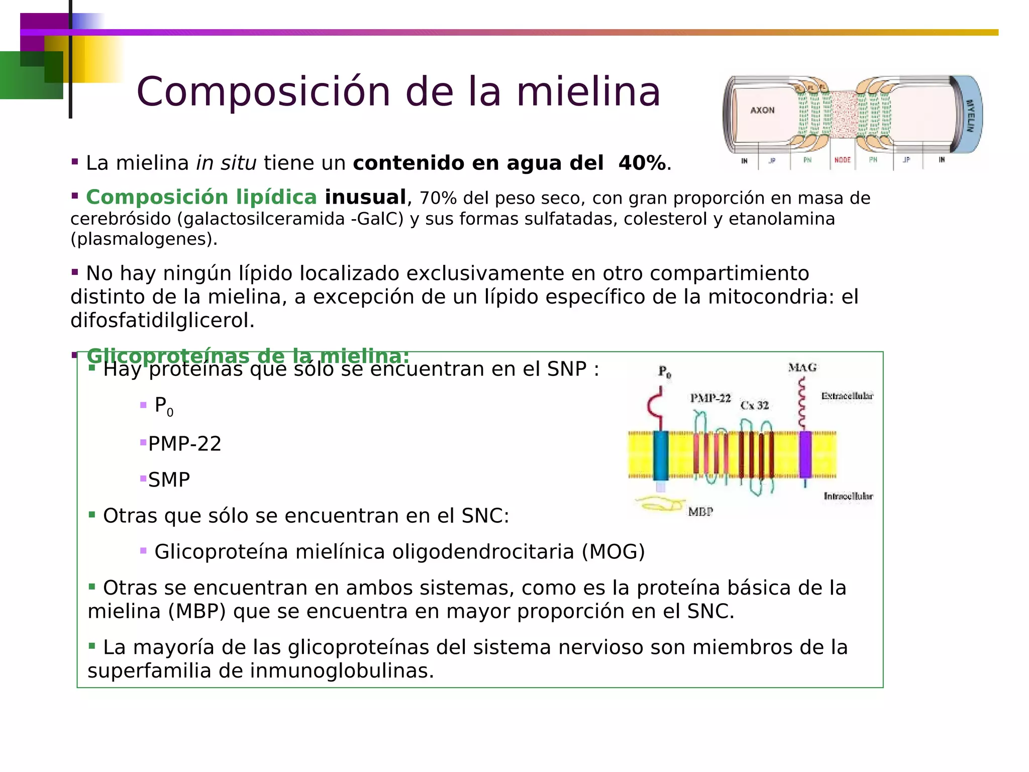 Esclerosis Múltiple