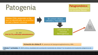 Patognomónico:
Activación fibroblastica
con excesiva fibrosis
Células CD4+ responden al Ag
aun no identificado, se acumulan
en piel y liberan citosinas
Se activan células
cebadas y macrófagos
Liberación de
citosinas
fibrinogenicas
IL-1
PDGF
TGF-β
Células T activadas  EICH crónica, resultado de la activación mantenida de células T en receptores de trasplantes alógenicos de
MO.
Activación de células B  presencia de hipergammaglobulinemia y ANA.
Dx. ANA
(Anti-Scl 70 y anticuerpo anticentromerico)
 