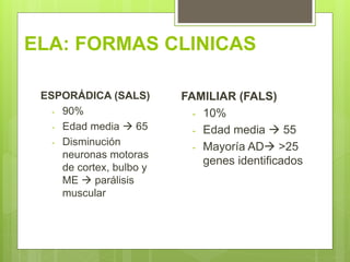 ELA: FORMAS CLINICAS
FAMILIAR (FALS)
- 10%
- Edad media  55
- Mayoría AD >25
genes identificados
ESPORÁDICA (SALS)
- 90%
- Edad media  65
- Disminución
neuronas motoras
de cortex, bulbo y
ME  parálisis
muscular
 