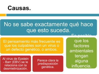 Causas.
No se sabe exactamente qué hace
que esto suceda.
El pensamiento más frecuente es
que los culpables son un virus o
un defecto genético, o ambos.
Al virus de Epstein
- Barr (EBV) se le
relaciona con la
desmielinización.
Parece clara la
predisposición
genética.
Es posible
que los
factores
ambientales
tengan
alguna
influencia.
 