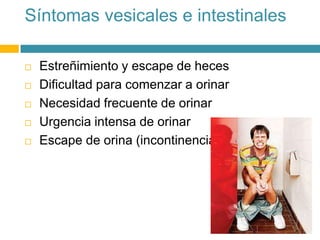 Síntomas vesicales e intestinales
 Estreñimiento y escape de heces
 Dificultad para comenzar a orinar
 Necesidad frecuente de orinar
 Urgencia intensa de orinar
 Escape de orina (incontinencia)
 