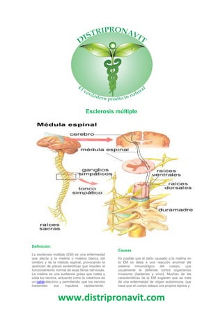 www.distripronavit.com
Esclerosis múltiple
Definición:
La esclerosis múltiple (EM) es una enfermedad
que afecta a la mielina o materia blanca del
cerebro y de la médula espinal, provocando la
aparición de placas escleróticas que impiden el
funcionamiento normal de esas fibras nerviosas.
La mielina es una sustancia grasa que rodea y
aísla los nervios, actuando como la cobertura de
un cable eléctrico y permitiendo que los nervios
transmitan sus impulsos rápidamente.
Causas
Es posible que el daño causado a la mielina en
la EM se deba a una reacción anormal del
sistema inmunológico del cuerpo, que
usualmente le defiende contra organismos
invasores (bacterias y virus). Muchas de las
características de la EM sugieren que se trata
de una enfermedad de origen autoinmune, que
hace que el cuerpo ataque sus propios tejidos y
 