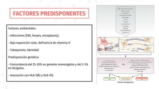 Factores ambientales:
- Infecciones (EBV, herpes, micoplasma),
- Baja exposición solar, deficiencia de vitamina D
- Tabaquismo, obesidad
Predisposición genética:
- Concordancia del 25-30% en gemelos monocigotos y del 2-3%
en dicigotos.
- Asociación con HLA-DR2 y HLA-DQ
FACTORES PREDISPONENTES
 