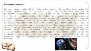 Neurodegeneración:
En cada nueva lesión MS hay daño a los axones; la perdida acumulativa de
axones parece ser la principal causa de incapacidad neurológica
progresiva e irreversible en la MS. Hasta 70% de los axones se pierden en
los haces corticoespinales laterales en pacientes con paraparesia
avanzada por MS; estudios longitudinales con MRI sugieren que hay pérdida
axónica progresiva con el paso del tiempo en lesiones establecidas,
inactivas. Los conocidos de los mecanismos que intervienen en la lesión
axónica son incompletos, y a pesar de que las transacciones en esa zona
de la neurona son mas notables en el caso de lesiones inflamatorias
agudas, no se sabe si la desmielinización es un requisito previo para el
daño axónico en la esclerosis múltiple. La desmielinización puede
producir un menor apoyo trófico para los axones, redistribución de los
conductos iónicos y desestabilización de los potenciales de acción de
membrana.
 