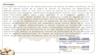 Fisiología:
La conducción nerviosa en los axones mielinicos se realiza de manera saltatoria, en la
cual el impulso brinca de un nódulo de ranvier al siguiente sin despolarizar la
membrana axonica sobre la cual está la vaina de mielina en la zona internodal. Esto
hace posible velocidades de conducción considerablemente mayores (casi 70 m/s) que las
bajas velocidades (mas o menos 1 m/s) generadas en la propagación continua en los
nervios amielínicos. Ocurre bloqueo de la conducción cuando el impulso nervioso no
puede atravezar el segmento desmielinizado; esto se observa cuando en la menbrana del
axón en reposo se hiperpolariza por la exposición de los conductos (canales) del
potasio dependientes de voltaje que normalmente están ocultos debajo de la vaina de
mielina. El fenómeno desmielinizante a menudo origina un bloqueo de conducción
temporal, antes de los conductos del sodio (consentrados originalmente en los nódulos)
tengan la posibilidad de distribuirse en el axón desnudo ( sin mielina) al final, la
redristribución permite la propagación continua de potenciales de acción nerviosos en
todo el segmento desmielinizado. El bloqueo de conducción es incompleto y afecta las
series de impulsos de alta frecuencia, pero no los de baja frecuencia.
 