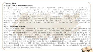 Inmunología
Linfocitos T autorreactivos
La proteína mielínica básica es un importante antígeno de células T en la
encefalomielitis alérgica experimental, un modelo de laboratorio y probablemente
también en MS de seres humanos. Se han identificado células T activadas, reactivas
contra MBP en la sangre, líquido cefalorraquídeo (LCR) y en el interior de las
lesiones de MS. además, puede influir en la respuesta autoinmunitaria porque se
une con gran afinidad al fragmento de MBP (constituido por 89 a 96 aminoácidos),
proteína que estimula la respuesta de las células T. Es posible que dos
poblaciones diferentes de células T proinflamatorias medien la autoinmunidad en
MS.
Autoinmunidad humoral.
También parece ser necesaria la activación de las células B y la respuesta de
anticuerpos para el desarrollo pleno de las lesiones de desmielizacion, tanto en
modelos de experimentación como en seres humanos con MS. En lesiones de MS y en el
LCR hay un gran número de células B con explotación clonal y propiedades de
memoria del centro germinativo o de linfocitos productores de anticuerpos. se ha
detectado que los autoanticuerpos específicos contra la mielina, algunos dirigidos
contra la glucoproteína de mielina de los oligodendrocitos, se unen a los restos
hay incremento en el LCR de las concentraciones locales de inmunoglobulinas de
síntesis local y de anticuerpos oligoclonales derivadas de la expansión de células
plasmáticas con restricción clonal.
 