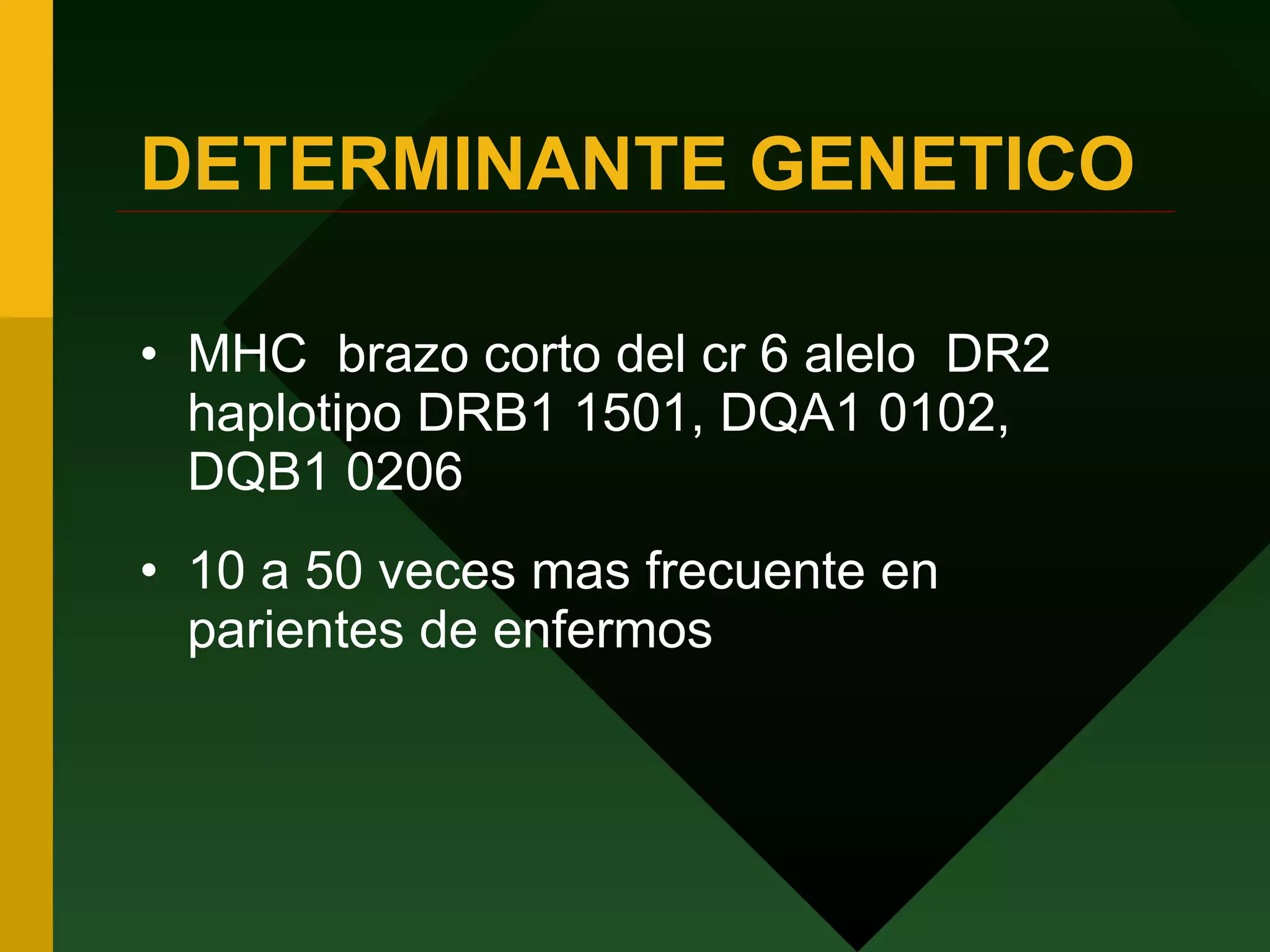 DETERMINANTE GENETICO MHC  brazo corto del cr 6 alelo  DR2 haplotipo DRB1 1501, DQA1 0102, DQB1 0206 10 a 50 veces mas frecuente en parientes de enfermos 