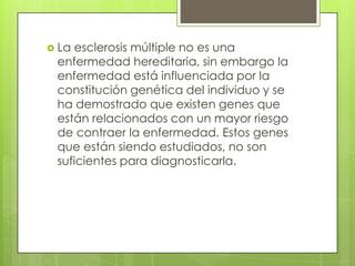  Laesclerosis múltiple no es una
 enfermedad hereditaria, sin embargo la
 enfermedad está influenciada por la
 constitución genética del individuo y se
 ha demostrado que existen genes que
 están relacionados con un mayor riesgo
 de contraer la enfermedad. Estos genes
 que están siendo estudiados, no son
 suficientes para diagnosticarla.
 