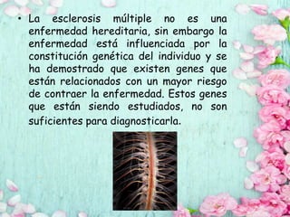 • La esclerosis múltiple no es una
enfermedad hereditaria, sin embargo la
enfermedad está influenciada por la
constitución genética del individuo y se
ha demostrado que existen genes que
están relacionados con un mayor riesgo
de contraer la enfermedad. Estos genes
que están siendo estudiados, no son
suficientes para diagnosticarla.
 