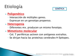  Poligenético
◦ Interacción de múltiples genes.
◦ Expresan en un genotipo propenso.
 Heterogenia
◦ Diferentes mx. producen un mismo fenotipo.
 Mimetismo molecular
◦ Cel. T periféricas activen con antígenos extraños.
◦ Se dirijan hacia las proteínas cerebrales Epitopes.
GENÉTICA
Enfermedades desmielinizantes del sistema nervioso central O. Fernández, V. E. Fernández y M. Guerrero -
Medicine. 2015;11(77):4601-9
 