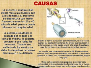 La esclerosis múltiple (EM)
afecta más a las mujeres que
a los hombres. El trastorno
se diagnostica con mayor
frecuencia entre los 20 y 40
años de edad, pero se puede
observar a cualquier edad.
La esclerosis múltiple es
causada por el daño a la
vaina de mielina, la cubierta
protectora que rodea las
neuronas. Cuando esta
cubierta de los nervios se
daña, los impulsos nerviosos
disminuyen o se detienen.
CAUSAS
El daño al nervio es causado por inflamación, la cual ocurre
cuando las células inmunitarias del propio cuerpo atacan el
sistema nervioso. Esto puede ocurrir a lo largo de cualquier
área del cerebro, el nervio óptico o la médula espinal.
No se sabe exactamente qué causa la EM. El pensamiento
más frecuente es que los culpables son un virus o un defecto
genético, o ambos. Los factores ambientales también juegan
un papel.
Usted es ligeramente más propenso a contraer esta
enfermedad si tiene antecedentes familiares de EM o vive en
una parte del mundo donde esta enfermedad es más común.
 
