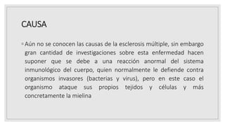CAUSA
◦ Aún no se conocen las causas de la esclerosis múltiple, sin embargo
gran cantidad de investigaciones sobre esta enfermedad hacen
suponer que se debe a una reacción anormal del sistema
inmunológico del cuerpo, quien normalmente le defiende contra
organismos invasores (bacterias y virus), pero en este caso el
organismo ataque sus propios tejidos y células y más
concretamente la mielina
 