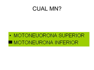 CUAL MN? 