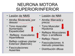 NEURONA MOTORA SUPERIOR/INFERIOR 