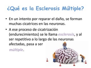¿Qué es la Esclerosis Múltiple?
• En un intento por reparar el daño, se forman
muchas cicatrices en las neuronas.
• A ese proceso de cicatrización
(endurecimientos) se le llama esclerosis, y al
ser repetitivo a lo largo de las neuronas
afectadas, pasa a ser
múltiple.
 