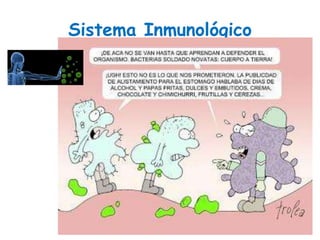 Sistema Inmunológico
 