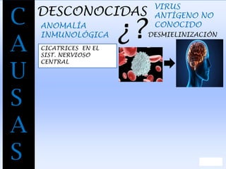 C
A
U
S
A
S
DESCONOCIDAS
VIRUS
ANTÍGENO NO
CONOCIDOANOMALÍA
INMUNOLÓGICA ¿?DESMIELINIZACIÓN
CICATRICES EN EL
SIST. NERVIOSO
CENTRAL
 