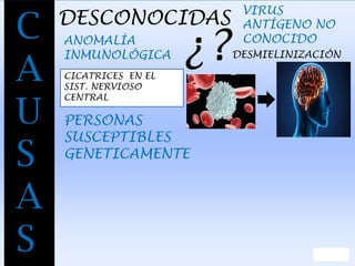 C
A
U
S
A
S
DESCONOCIDAS
VIRUS
ANTÍGENO NO
CONOCIDOANOMALÍA
INMUNOLÓGICA ¿?DESMIELINIZACIÓN
CICATRICES EN EL
SIST. NERVIOSO
CENTRAL
PERSONAS
SUSCEPTIBLES
GENETICAMENTE
 