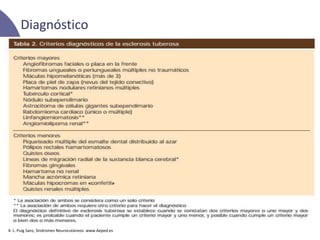 Diagnóstico
4. L. Puig Sanz, Síndromes Neurocutáneos. www.Aeped.es
 