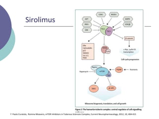 Sirolimus
7. Paolo Curatolo, Romina Moavero, mTOR Inhibitors in Tuberous Sclerosis Complex, Current Neuropharmacology, 2012, 10, 404-415
 