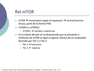 Rol mTOR
 mTOR  mammalian target of rapamycin  serina/treonina
kinasa, parte de la familia PIKK
 mTORC1 y mTORC2
 mTORC1  sensible a rapamicina
 En la última década se ha demostrado que la activación o
inhibición de mTOR se logra al oponer efectos de un modulador
formado por TSC-1 y TSC-2
 TSC-1  hamartina
 TSC-2  tuberina
5. Meng X. Role of the mTOR signaling pathway in epilepsy. J Neurol Sc 2013; 332: 4–15
 
