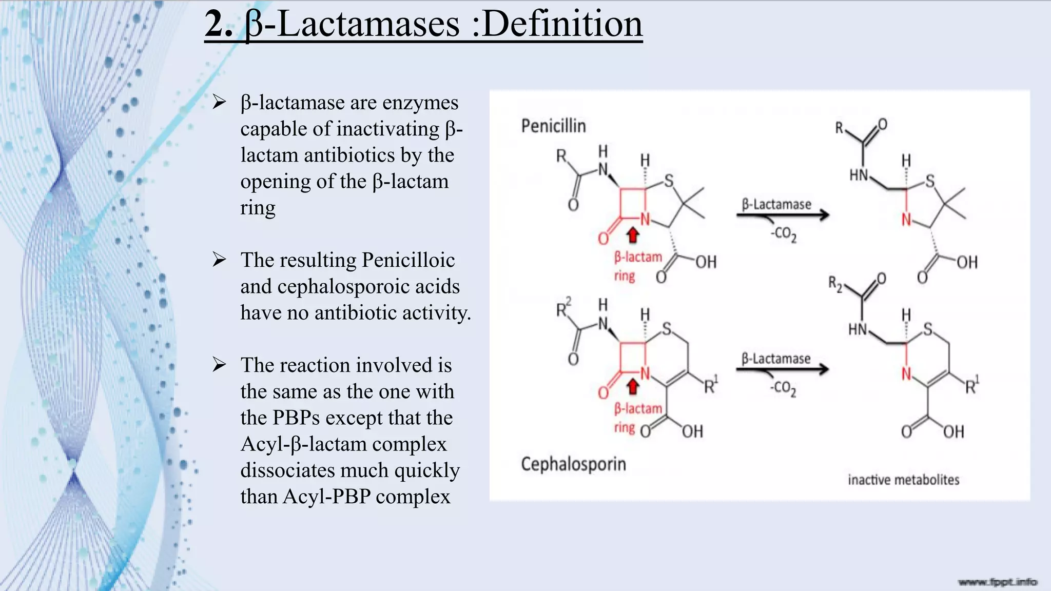 2. β-Lactamases :Definition
➢ β-lactamase are enzymes
capable of inactivating β-
lactam antibiotics by the
opening of the β-lactam
ring
➢ The resulting Penicilloic
and cephalosporoic acids
have no antibiotic activity.
➢ The reaction involved is
the same as the one with
the PBPs except that the
Acyl-β-lactam complex
dissociates much quickly
than Acyl-PBP complex
 