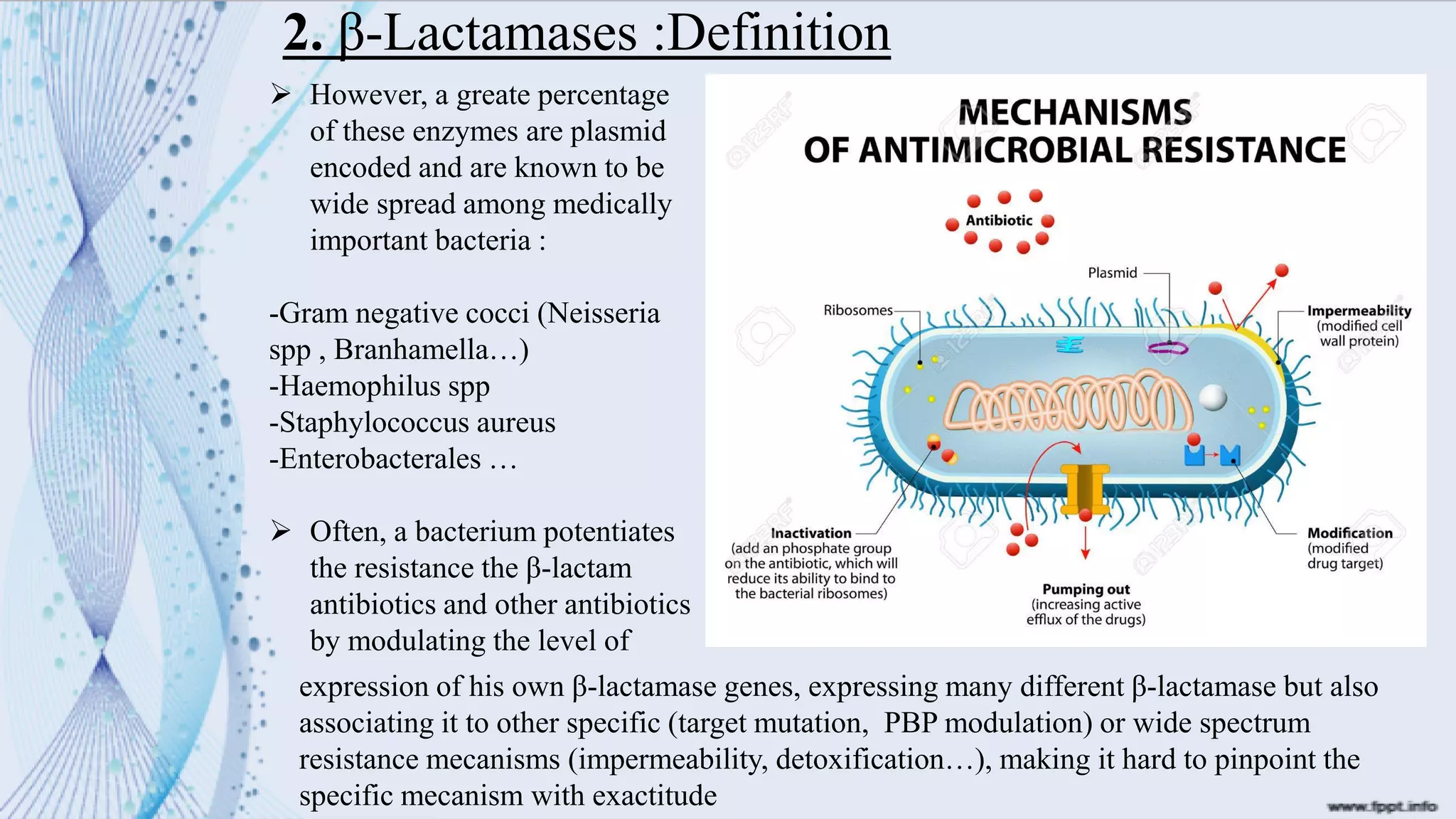 2. β-Lactamases :Definition
➢ However, a greate percentage
of these enzymes are plasmid
encoded and are known to be
wide spread among medically
important bacteria :
-Gram negative cocci (Neisseria
spp , Branhamella…)
-Haemophilus spp
-Staphylococcus aureus
-Enterobacterales …
➢ Often, a bacterium potentiates
the resistance the β-lactam
antibiotics and other antibiotics
by modulating the level of
expression of his own β-lactamase genes, expressing many different β-lactamase but also
associating it to other specific (target mutation, PBP modulation) or wide spectrum
resistance mecanisms (impermeability, detoxification…), making it hard to pinpoint the
specific mecanism with exactitude
 