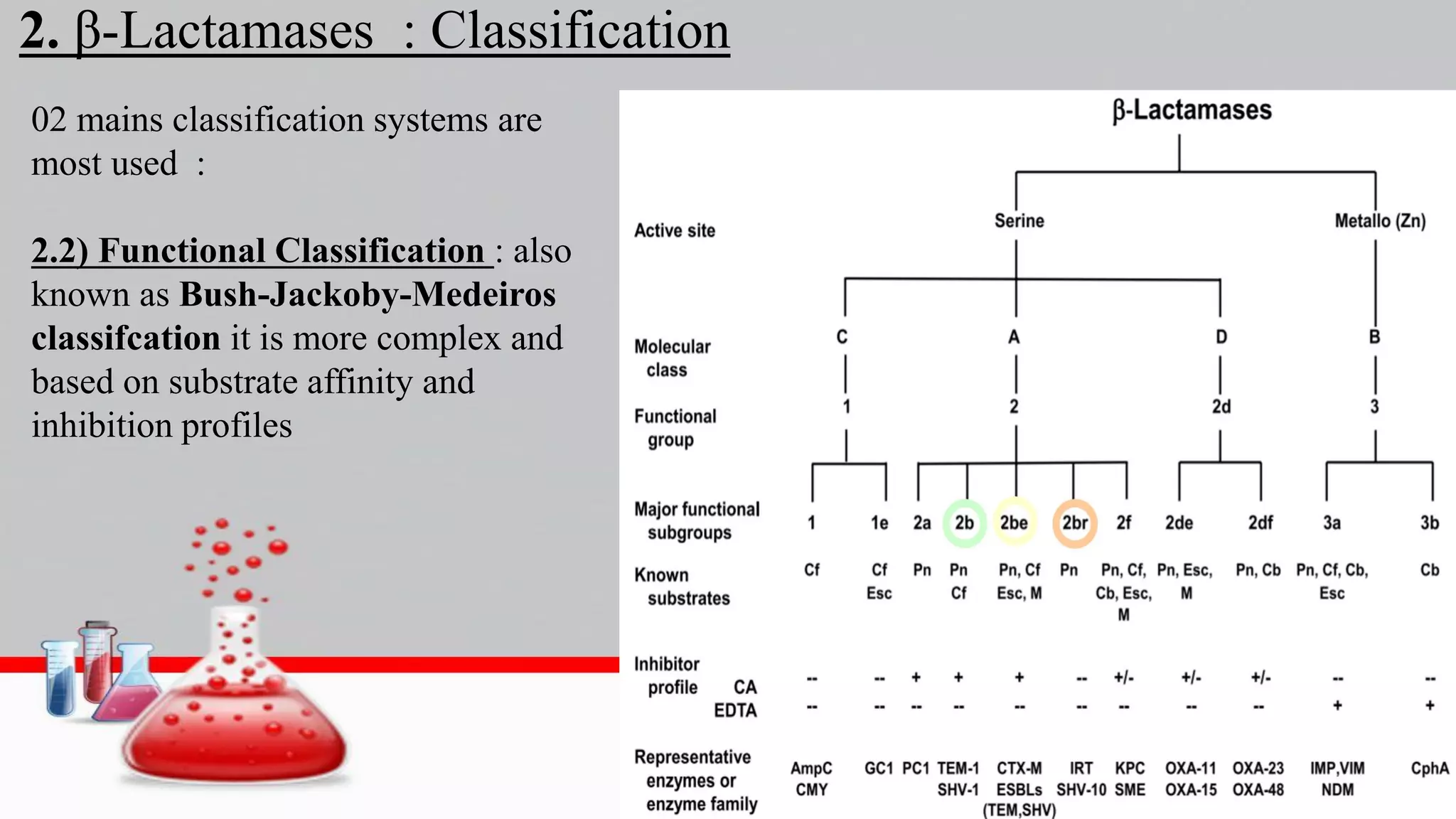 2. β-Lactamases : Classification
02 mains classification systems are
most used :
2.2) Functional Classification : also
known as Bush-Jackoby-Medeiros
classifcation it is more complex and
based on substrate affinity and
inhibition profiles
 