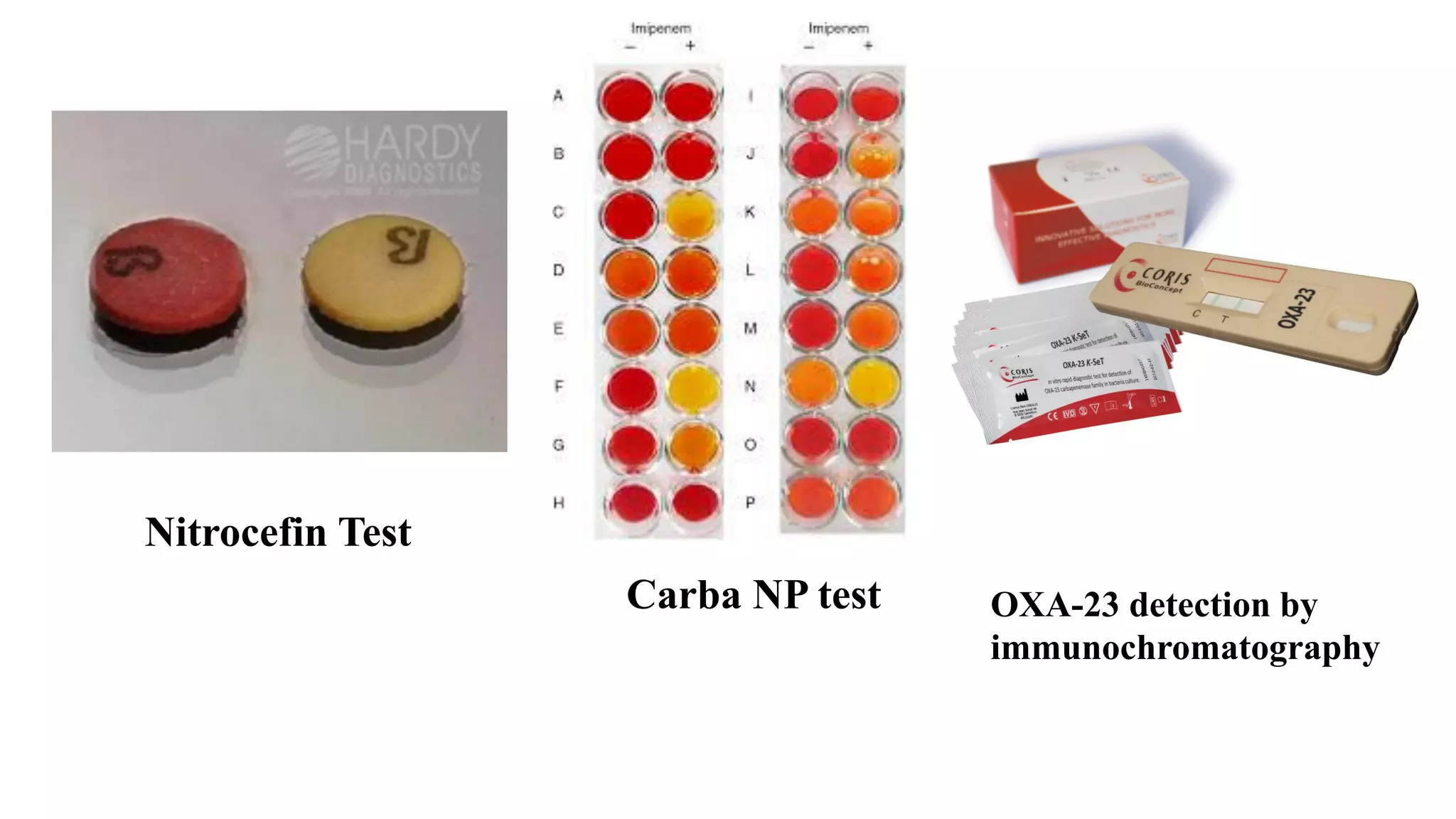Nitrocefin Test
Carba NP test OXA-23 detection by
immunochromatography
 