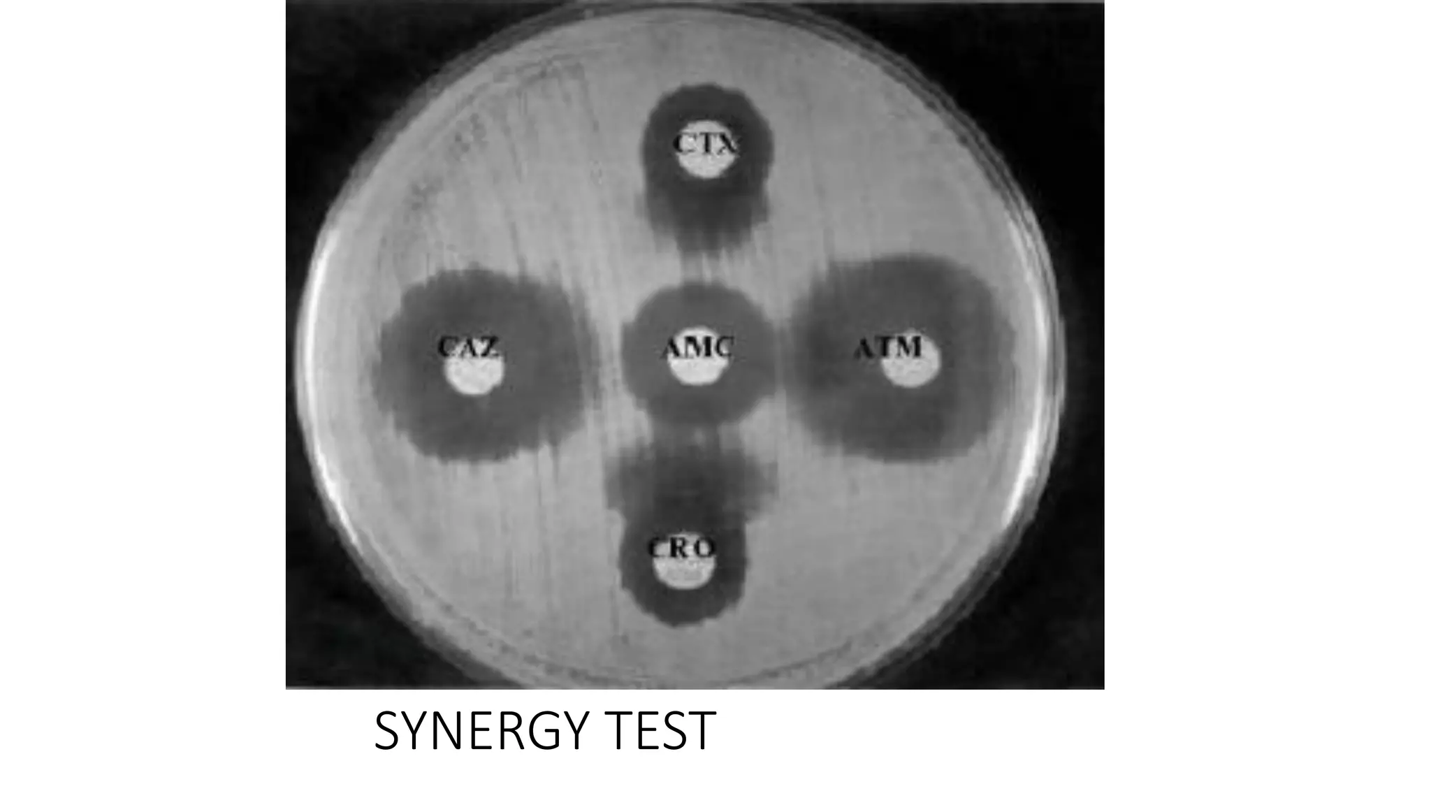 SYNERGY TEST
 