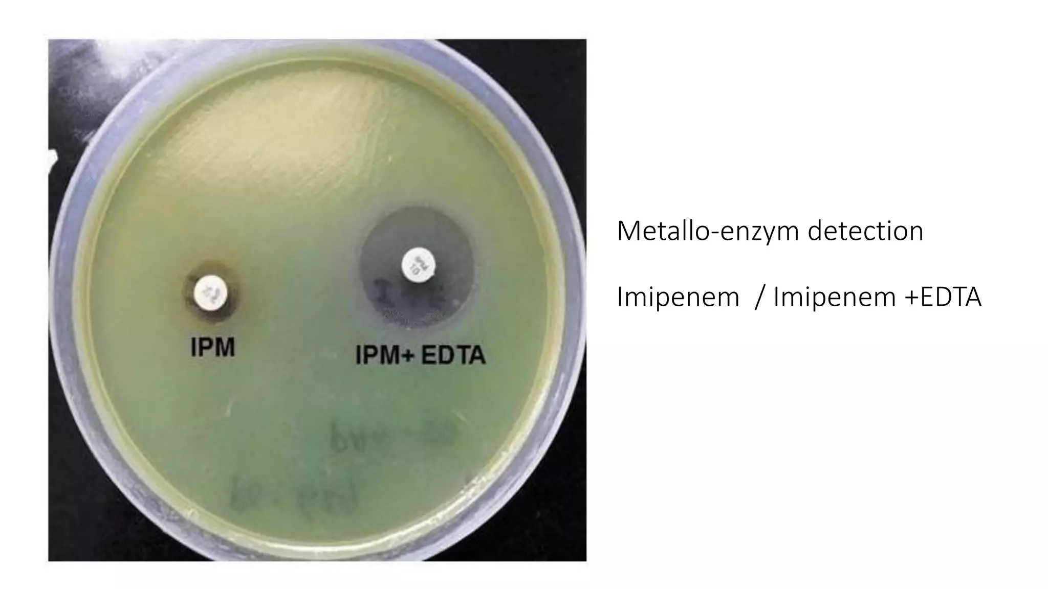 Metallo-enzym detection
Imipenem / Imipenem +EDTA
 